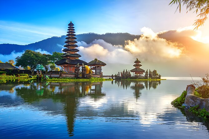 Amazing Bali Dolphin Watching Trip Experience - Price and value: is $80 a smart buy?