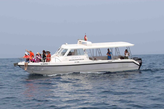 Amazing Dolphin Watching Tour In Muscat - Who this tour suits best in Muscat