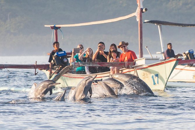 Amazing Private Tours: Dolphins Lovina and Gitgit Waterfall include Lunch - The 2:30am Lovina start: why this schedule matters