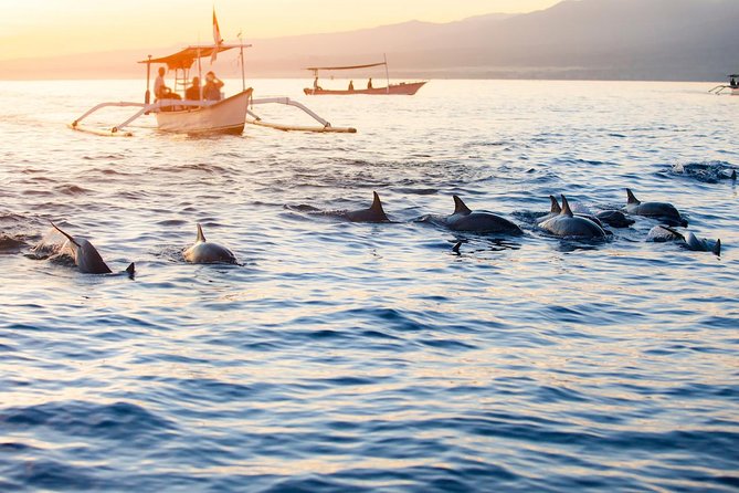 Amazing Private Tours: Dolphins Lovina and Gitgit Waterfall include Lunch - Private driver comfort: what you gain for $78.50