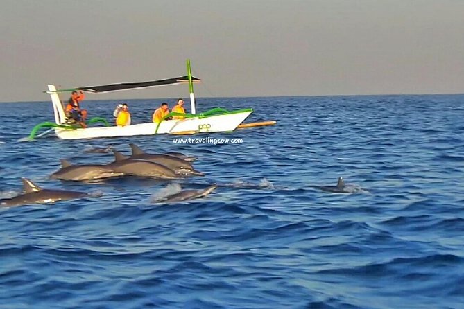 Amazing Private Tours: Dolphins Lovina and Gitgit Waterfall include Lunch - Gitgit Waterfall: the nature break after the early wake-up