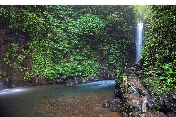 Amazing Private Tours: Dolphins Lovina and Gitgit Waterfall include Lunch - Ulun Danu Beratan Temple: temple time with garden energy