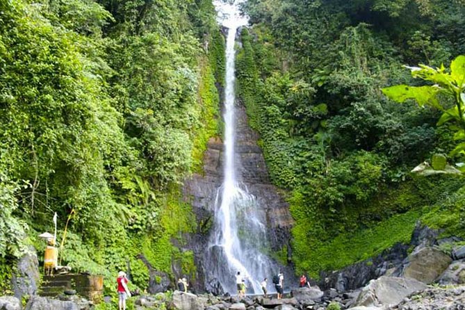 Amazing Private Tours: Dolphins Lovina and Gitgit Waterfall include Lunch - Lunch plus Candikuning Market: fuel and a chance to browse