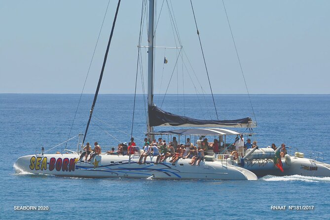 Amazing Skywalk, Wine Tasting & 4x4 Adventure + Dolphin Watching - Key Things You’ll Notice on This Madeira Day Trip
