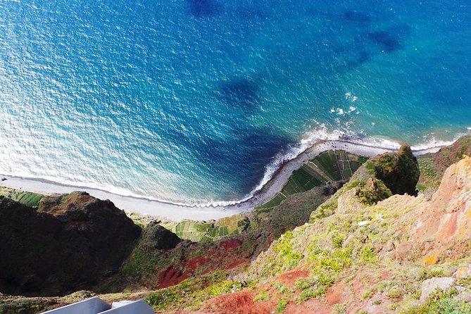Amazing Skywalk, Wine Tasting & 4x4 Adventure + Dolphin Watching - Dolphins and Whales: What to Expect (and How to Increase Your Odds)