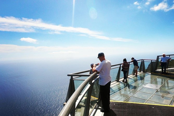 Amazing Skywalk, Wine Tasting & 4x4 Adventure + Dolphin Watching - Wolf Seals and the Madeira Flavor Stops in the Jeep Portion