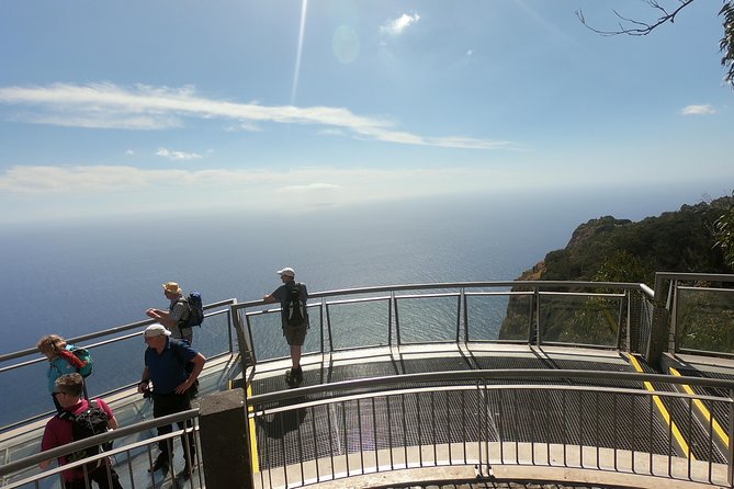 Amazing Skywalk, Wine Tasting & 4x4 Adventure + Dolphin Watching - Boca Da Corrida: The Off-Road Bit That’s Actually the Point