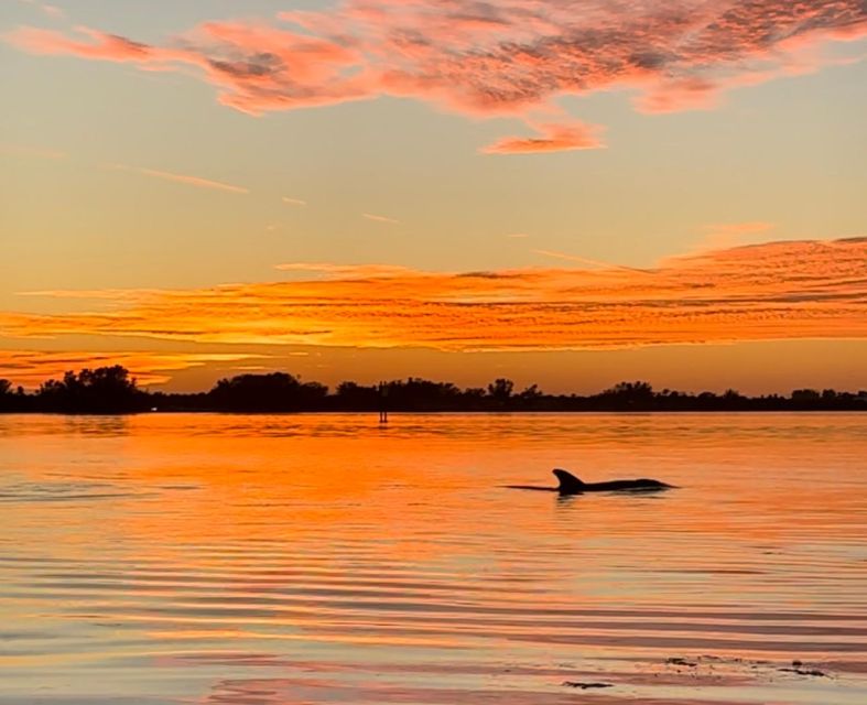 Anna Maria Island and Bradenton: Sunset Kayak Dolphin Tour - Key points before you paddle