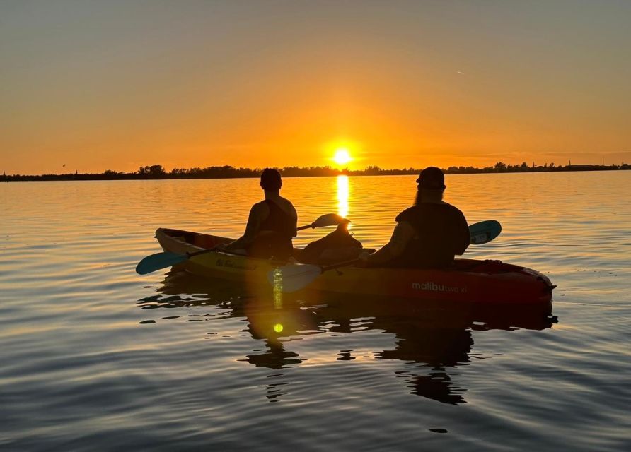 Anna Maria Island and Bradenton: Sunset Kayak Dolphin Tour - Should You Book This Tour?