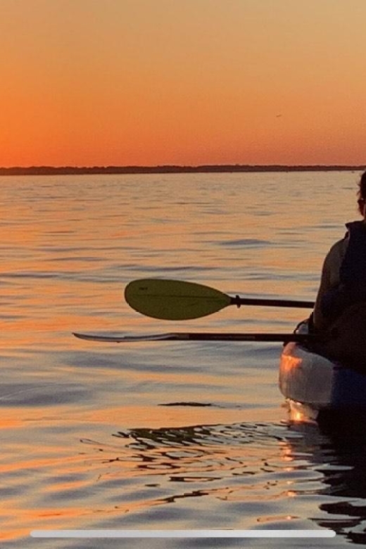 Anna Maria Island and Bradenton: Sunset Kayak Dolphin Tour - Sit-On-Top Kayaks and Tandem Setup That Makes This Feel Doable