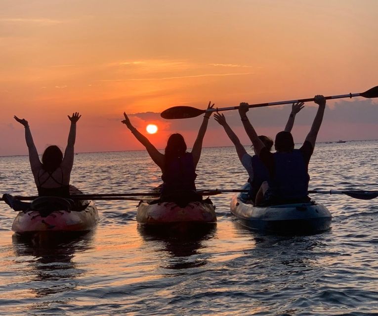 Anna Maria Island and Bradenton: Sunset Kayak Dolphin Tour - Getting Close to Dolphins Without the Stress: The Guide Difference