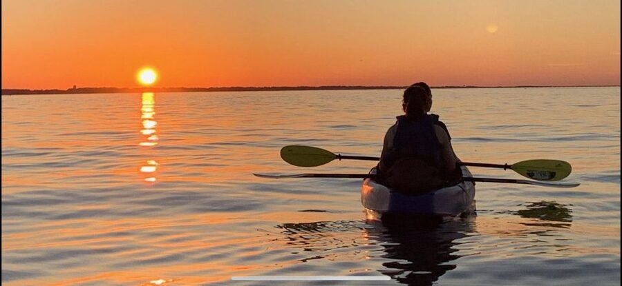Anna Maria Island and Bradenton: Sunset Kayak Dolphin Tour - Price of $60 for Two Hours: When It Feels Like Good Value