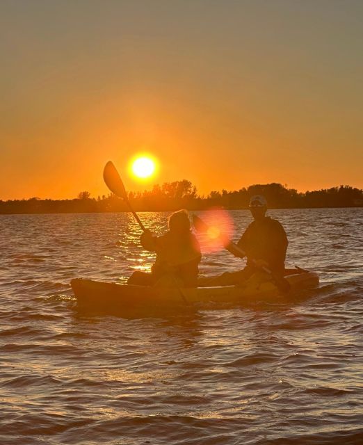 Anna Maria Island and Bradenton: Sunset Kayak Dolphin Tour - Who This Sunset Dolphin Kayak Tour Is Best For