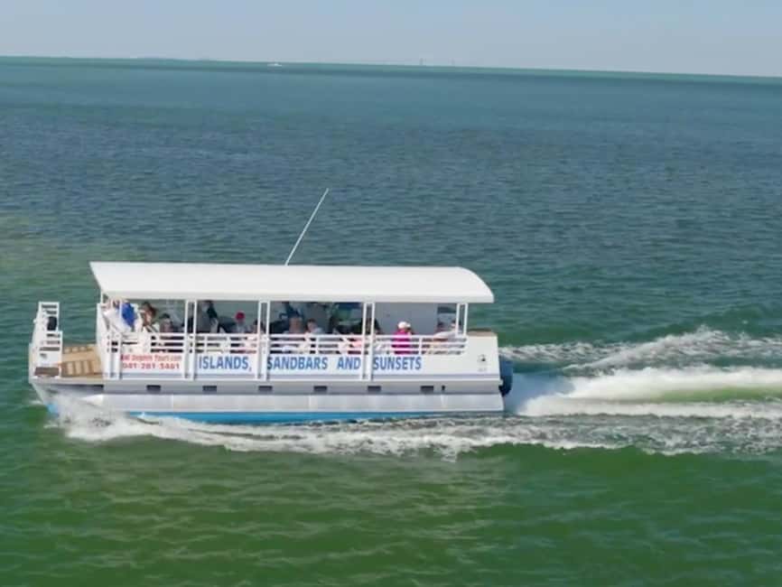 Anna Maria Island: Dolphin Cruise - Practical Tips: What to Bring and How to Enjoy It More