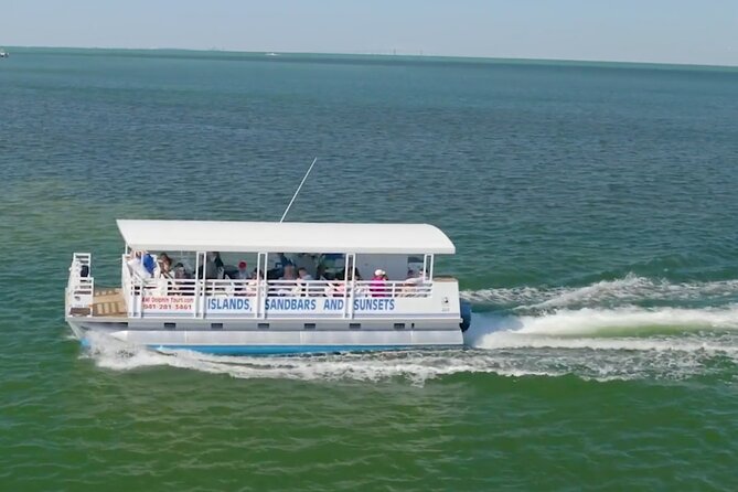 Anna Maria Island Dolphin Sightseeing Adventure - Key Highlights You’ll Actually Feel On the Water