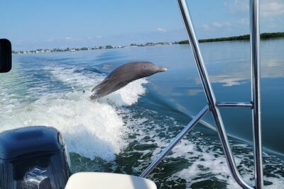 Anna Maria Island Dolphin Sightseeing Adventure - Getting On Board at Waterline Villas & Marina (Holmes Beach)