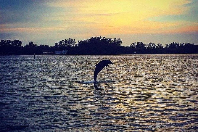 Anna Maria Island Dolphin Sunset Boat Tour - What you’ll actually do on the ride (and what you might spot)