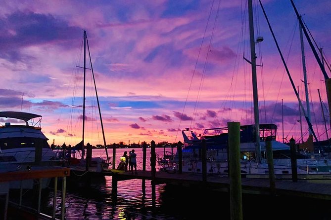 Anna Maria Island Dolphin Sunset Boat Tour - The crew and onboard vibe: music, jokes, and quick photo help