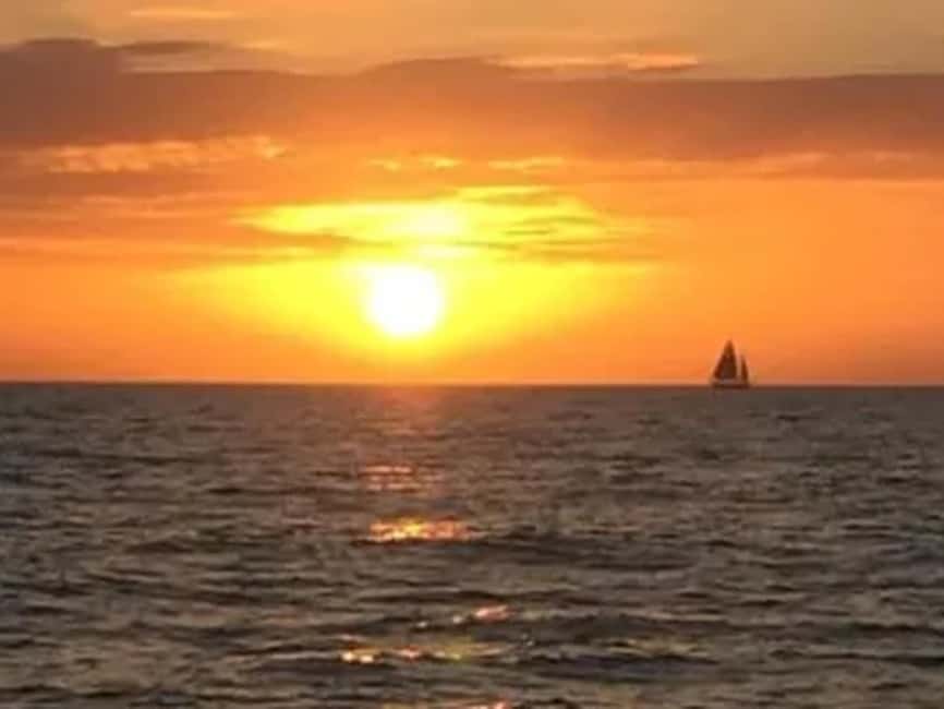 Anna Maria Island: Sunset Dolphin Cruise - Key Things I’d Plan Around