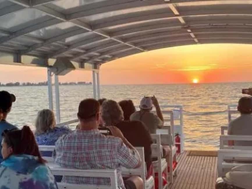 Anna Maria Island: Sunset Dolphin Cruise - Wildlife Spotting: What You Can Expect to Look For