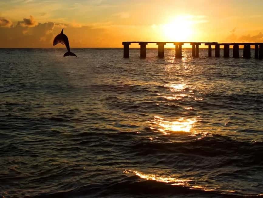 Anna Maria Island: Sunset Dolphin Cruise - The Golden Hour Segment: When the Cruise Becomes About the Light