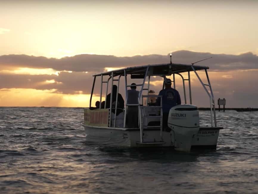 Anna Maria Island: Sunset Dolphin Cruise - Who’s Running the Boat: Live Guidance You Can Actually Use