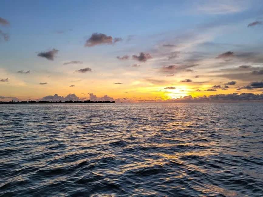 Anna Maria Island: Sunset Dolphin Cruise - What to Bring (So You’re Comfortable From Boarding to Sunset)