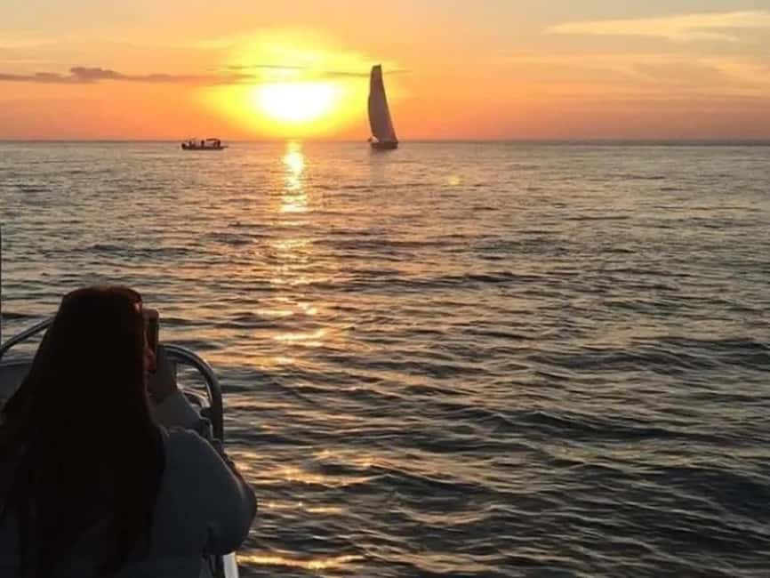 Anna Maria Island: Sunset Dolphin Cruise - Timing Tips: How to Get the Best Out of the 2-Hour Window
