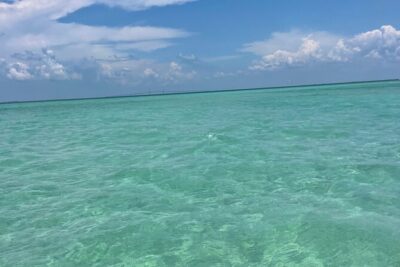Aqua Sol Adventures-4.5 hour Private Snorkeling,Dolphin,shelling - Where You Meet in Gulfport (And Why Location Matters)