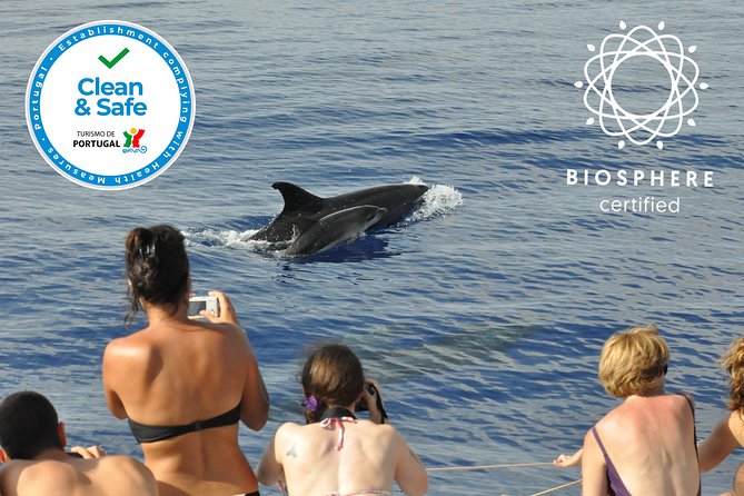 Arieiro Peak and Cristo Rei 4x4 Experience + Dolphins Watching - Included extras that quietly improve the experience
