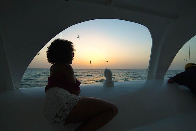 Aruba Sunset Sail Cruise Aboard The Dolphin Catamaran - The cove swim stop: rope swing and waterslide time
