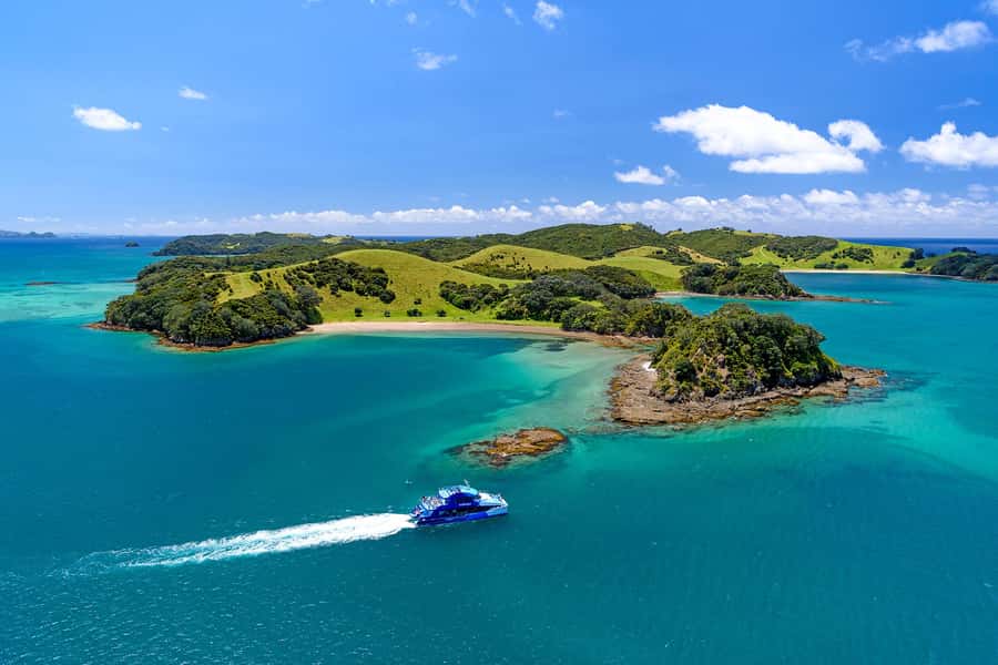 Auckland: Bay of Islands Day Tour with Dolphin Cruise - The Big Picture: a 13-hour Auckland-to-Bay of Islands day that stays fun