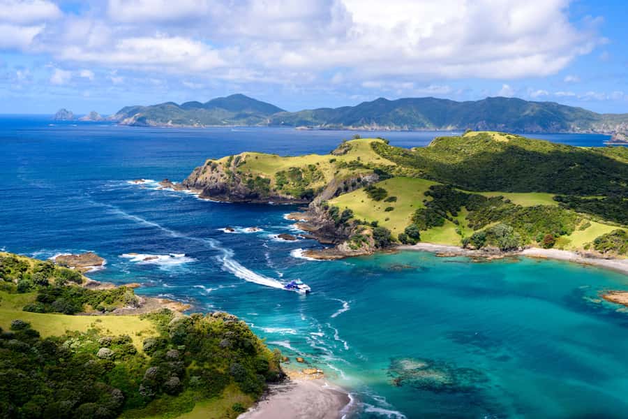 Auckland: Bay of Islands Day Tour with Dolphin Cruise - Minibus Transfers from Auckland: hotel pickup, Harbour Bridge views, and the comfort wins