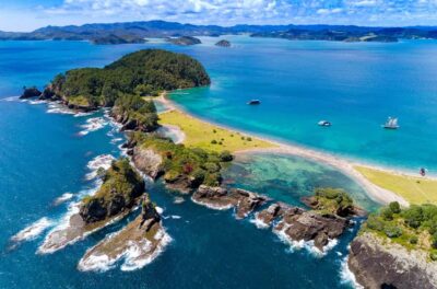 Auckland: Bay of Islands Day Tour with Dolphin Cruise - Paihia Catamaran Cruise: dolphins, whales, Cape Brett, and the Hole in the Rock