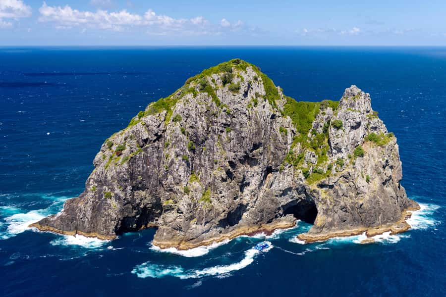 Auckland: Bay of Islands Day Tour with Dolphin Cruise - Price and value: is $283 for a day tour actually fair?