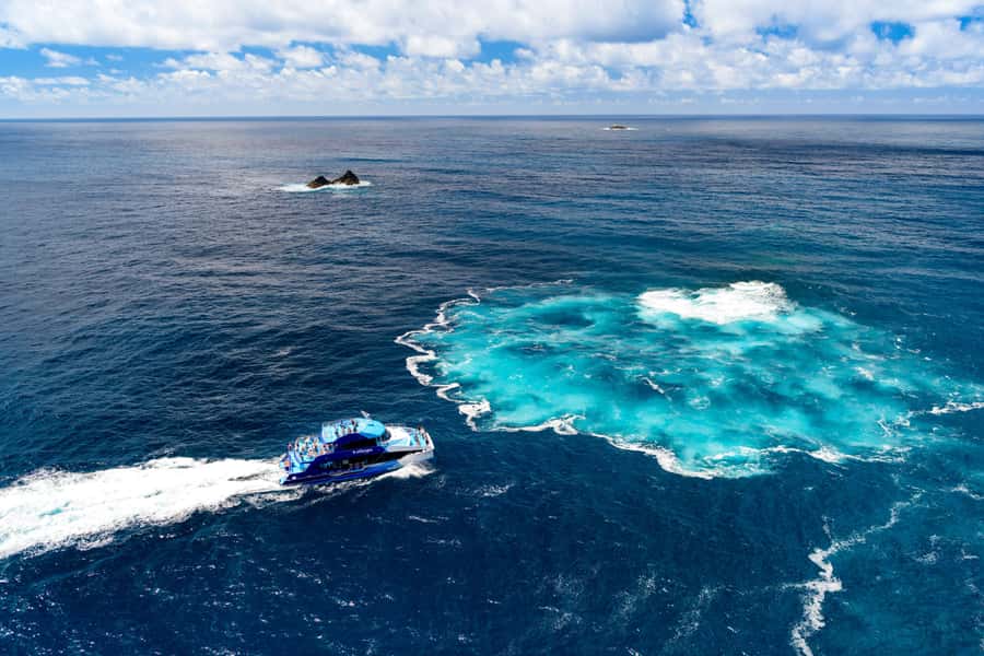 Auckland: Bay of Islands Day Tour with Dolphin Cruise - Logistics you should plan for: what to bring, what to expect, and how to feel during the day
