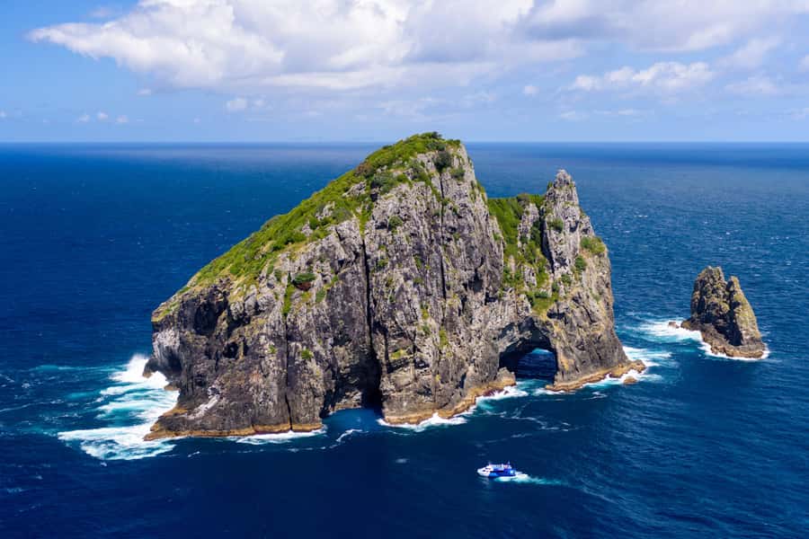 Auckland: Bay of Islands Day Tour with Dolphin Cruise - The best part of the ending: returning to Auckland with Harbour Bridge views
