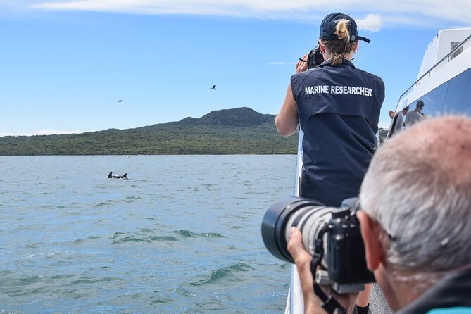 Auckland Dolphin and Whale Watching Eco-Safari Cruise - Your 4.5-Hour Route: What Each Stop Adds to the Day