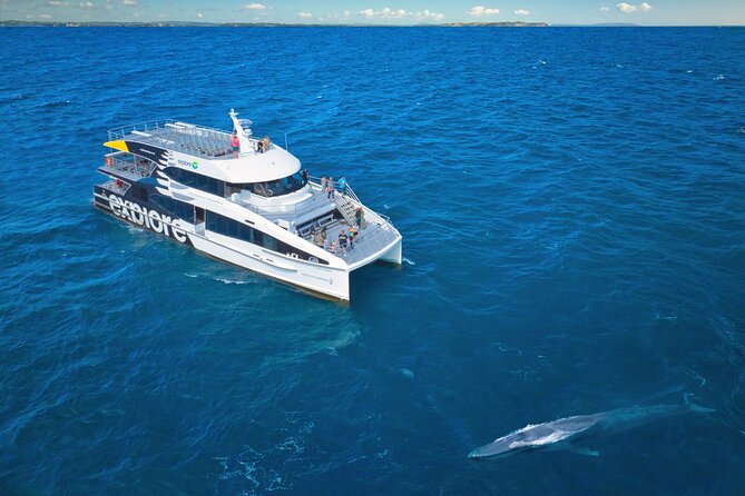 Auckland: Tikapa Moana Dolphin, Whale and Island Cruise - Timing and Routing: What Your 7 Hours 45 Minutes Feels Like