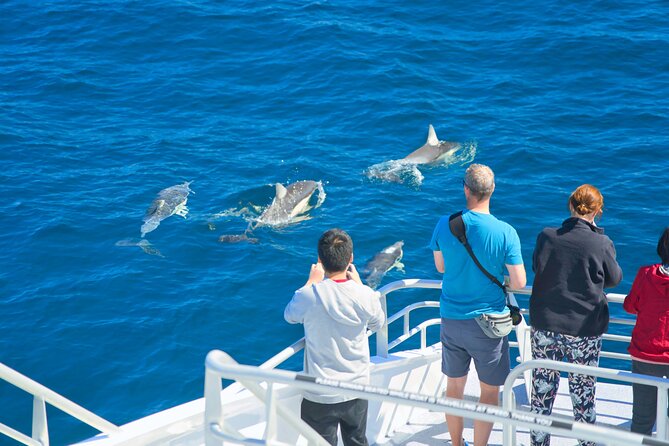 Auckland: Tikapa Moana Dolphin, Whale and Island Cruise - Waiheke Island Choice: Rotoroa for Walking, Man O’ War for Food and Ease