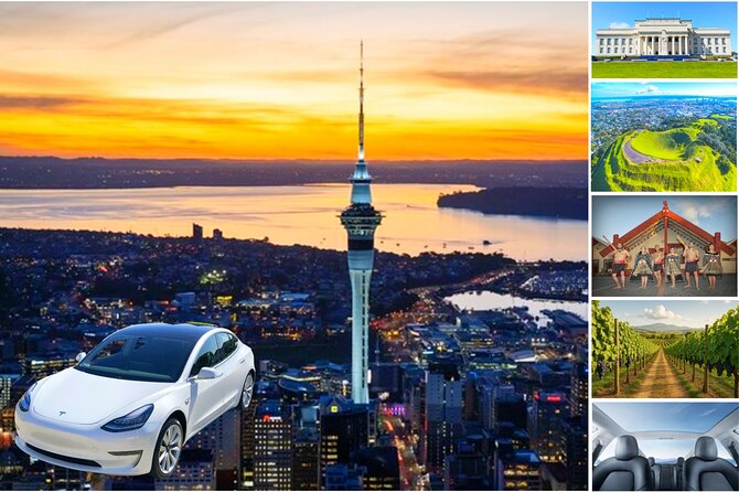 Auckland: Tikapa Moana Dolphin, Whale and Island Cruise - What’s Onboard (and What You’ll Pay For)