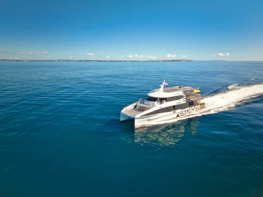 Auckland: Tikapa Moana Whales, Dolphins and Islands Cruise - The Marine Mammal Search and the Return Voucher Guarantee