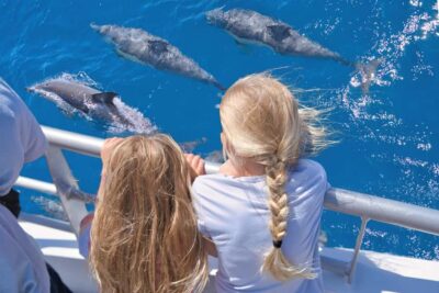 Auckland: Tikapa Moana Whales, Dolphins and Islands Cruise - Cruise Vessel Comfort: Seating, Cafe, and Real Weather Prep