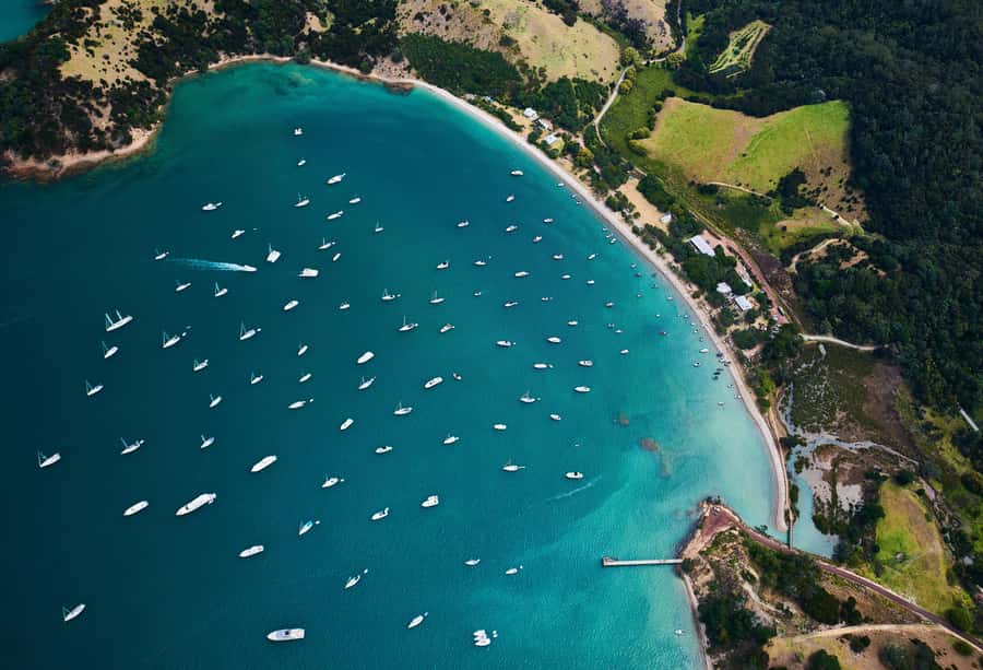 Auckland: Tikapa Moana Whales, Dolphins and Islands Cruise - Rotoroa Island or Man O’ War on Waiheke: Choose Your Kind of Break