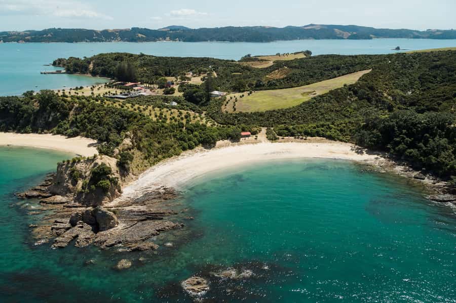 Auckland: Tikapa Moana Whales, Dolphins and Islands Cruise - What You Hear on Board: Tāmaki Makaurau, Ngāi Tai, and Conservation