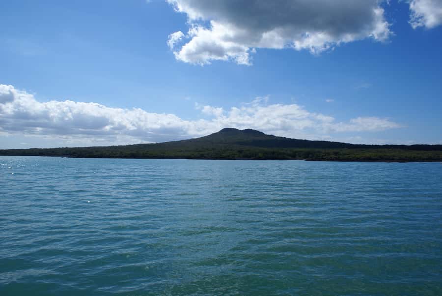 Auckland: Tikapa Moana Whales, Dolphins and Islands Cruise - Timing on the Water: The Early Harbour Exit and Why It Feels Longer