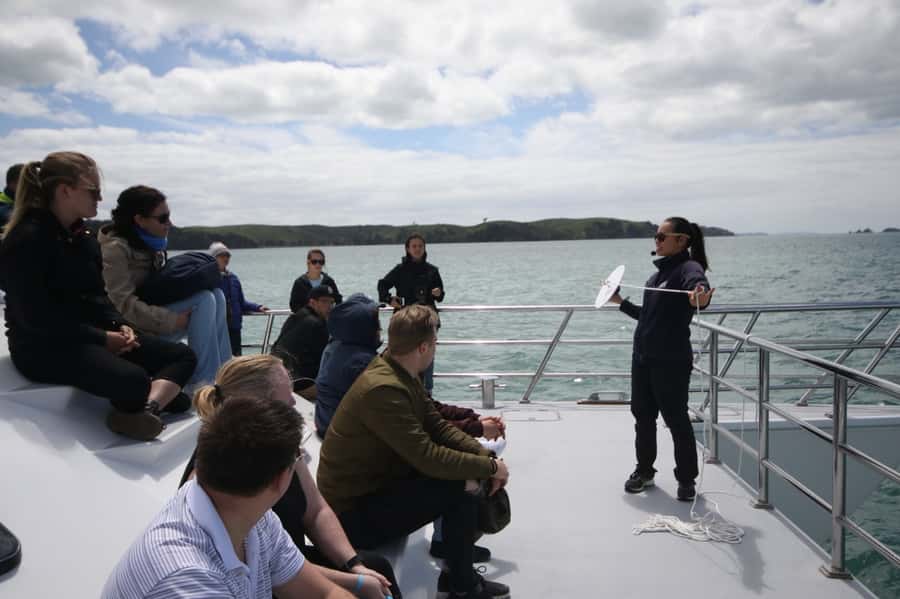 Auckland: Whale and Dolphin Watching Half-Day Eco Cruise - What you’re really hunting: orcas, dolphins, whales, and sea birds