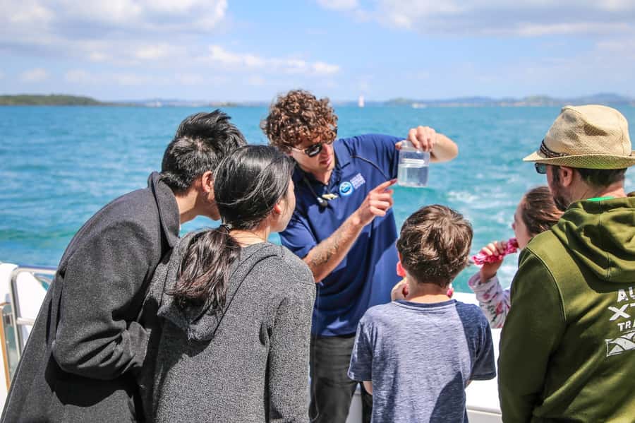 Auckland: Whale and Dolphin Watching Half-Day Eco Cruise - How the scientists and skipper turn sightings into lessons