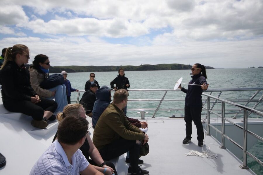 Auckland: Whale and Dolphin Watching Half-Day Eco Cruise - Weather and motion: how to prepare without overthinking