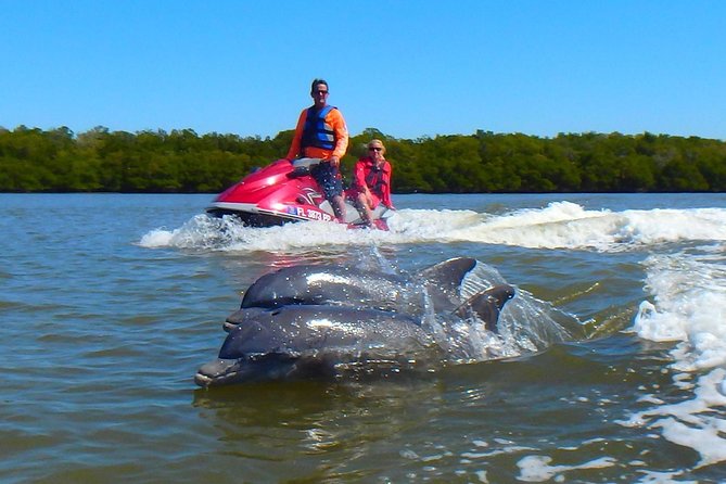 Avi's Premium Dolphin Tour by Jet Ski - Key points before you go